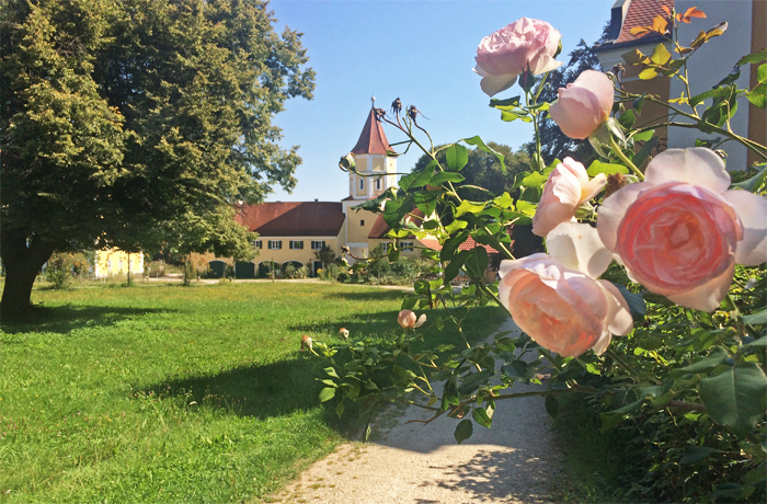 Schloß Blumenthal